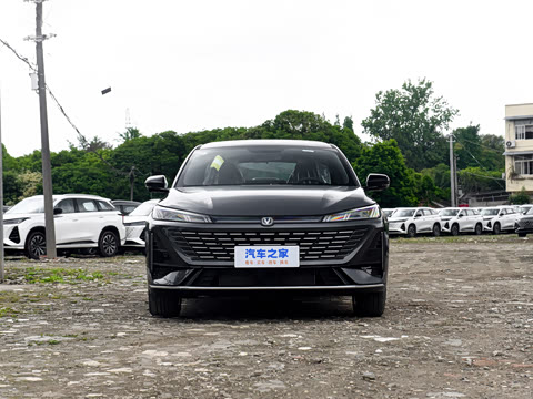 2026�� 1.5L �������� ������