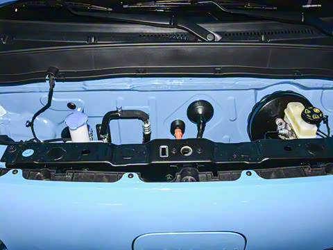 2025�� ������