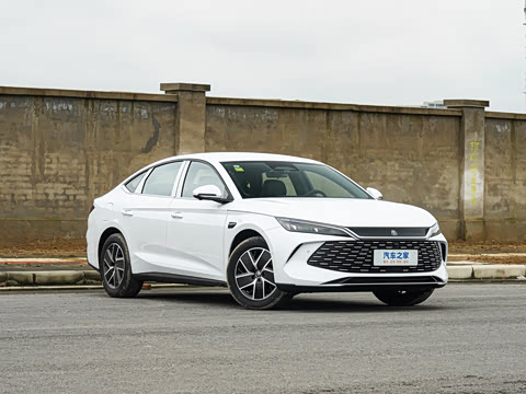 2026�� DM-i 128KM������