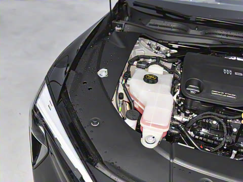 2025�� ������ң���а�