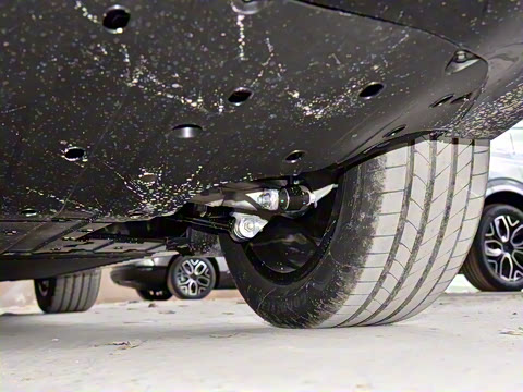 2026�� Elite �����