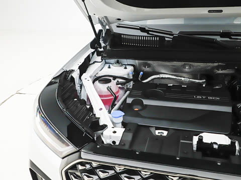 2025�� 290TGDI DCT���ư�