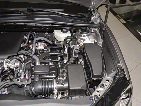 2026�� ˫�� 2.0HGVP ������