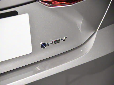 2026�� ˫�� 2.0HGVP ������