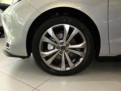 2026�� 2.5L ˫��������������