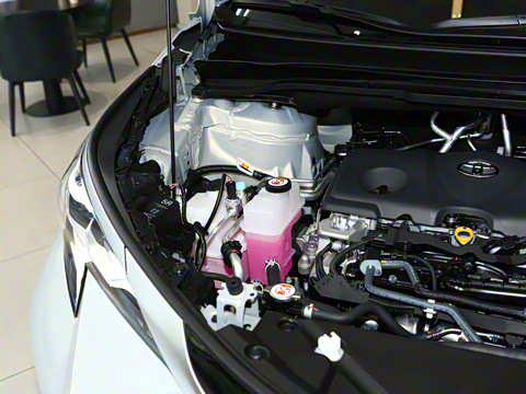 2026�� 2.5L ˫��������������