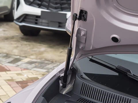 2026�� 310km �����