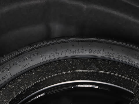 2025�� �Ŀ� 300TSI Pro