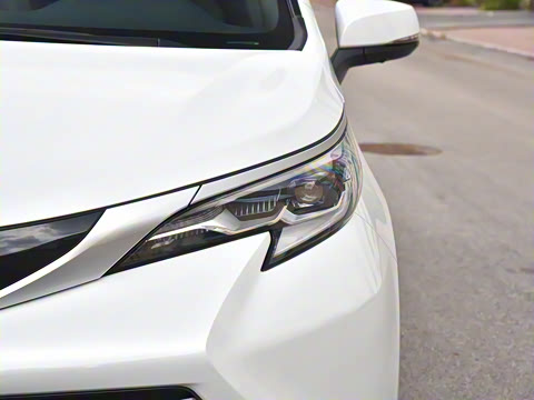 2026�� 2.5L ˫����������