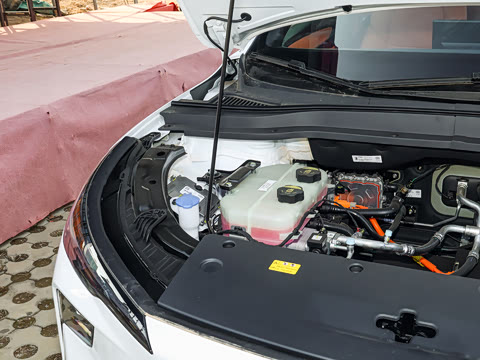 2026�� 565km ������