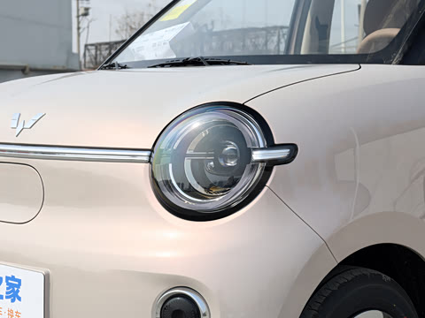 2026�� ����� 205km ������