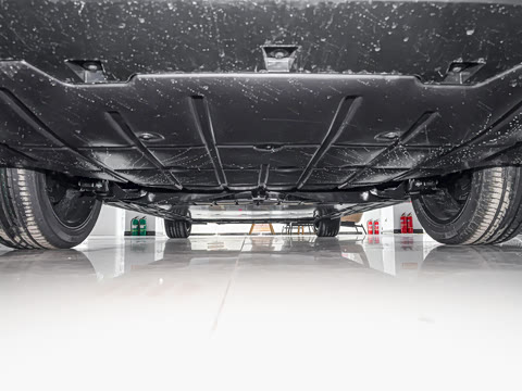 2026�� 450km ������