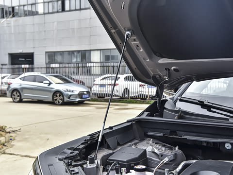 2026�� ˫�� 2.0L ������Ӣ��