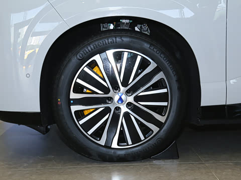 2025�� ������