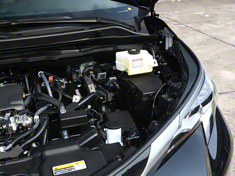 2026�� 2.5L ˫��������������