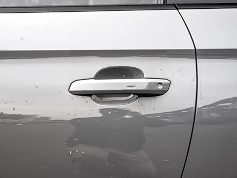 2024�� RS 5 2.9T Coupe ȼ���