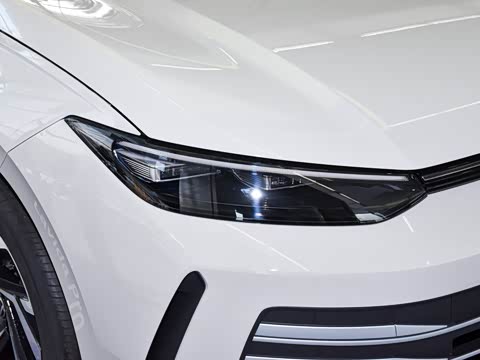 2026�� Pro 300TSI �������