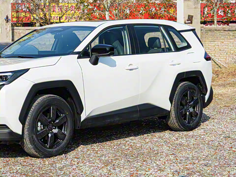 2026�� ˫�� 2.5L ����������