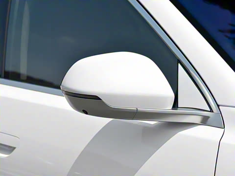 2025�� ���� Max+ ������������ 