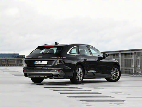 2025�� Avant �����