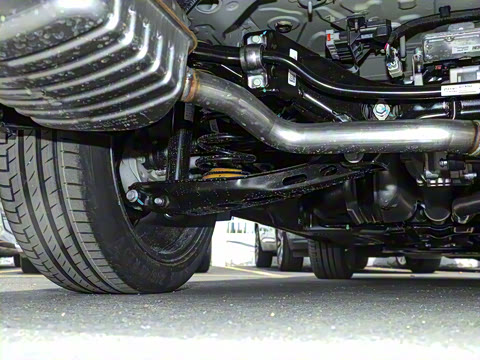 2026�� ������Plus ����Avenir��ά��