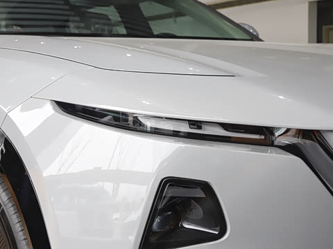 2026�� ����600 Pro