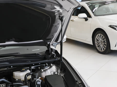 2026�� ˫�� 2.5L XLE����