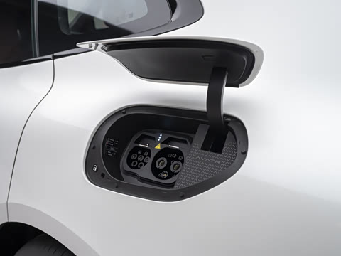 2026�� Max ˫��������