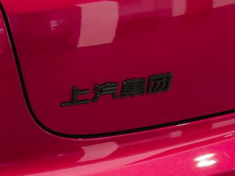 2026�� Max