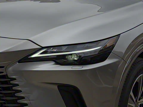 2026�� 300 ����������