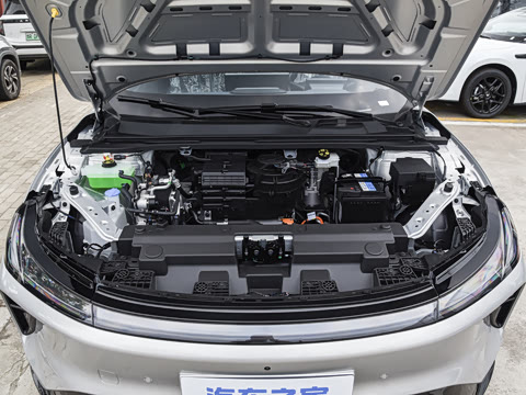2026�� 535 MAX�����