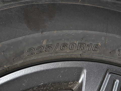 2025�� 520���а�