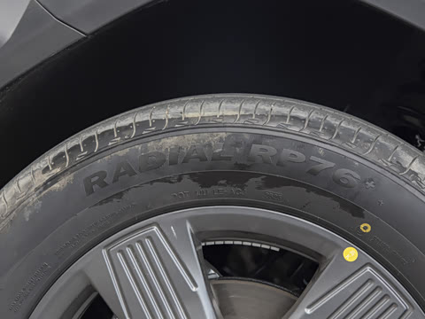 2025�� 520���а�