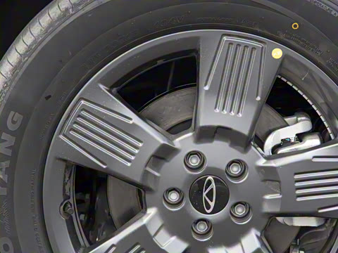 2025�� 520���а�