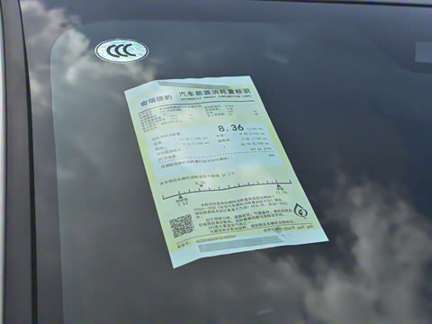 2025�� 2.0T P300 ����90�����ذ�