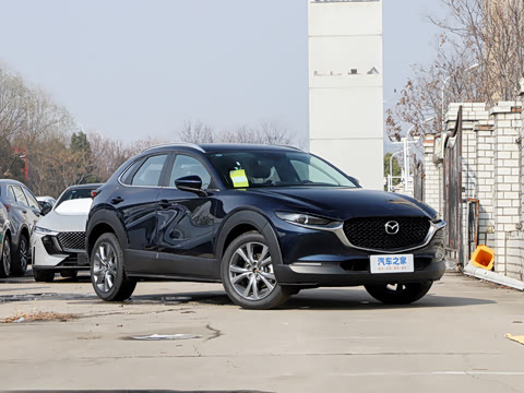 2025�� 2.0L �Զ�������