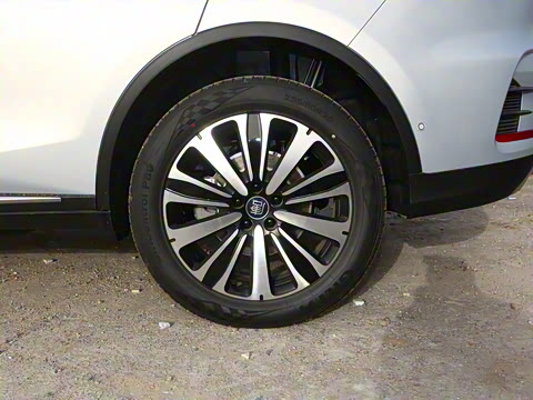 2025�� �Ǽݰ� DM-i 175KM �����״��콢��