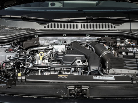 2026�� 300TSI DSG�ǿ����Ȱ�