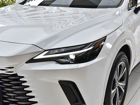 2026�� 300 ����������