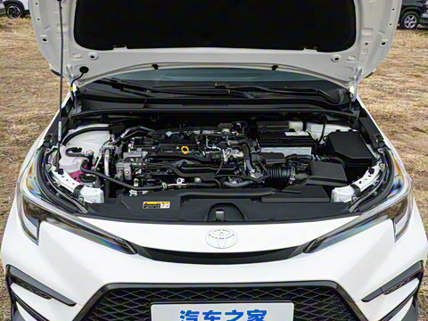 2026�� ����L ���Ͱ� 2.0L ����PLUS��