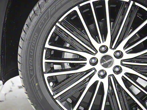 2025�� 300T ������ҹ��