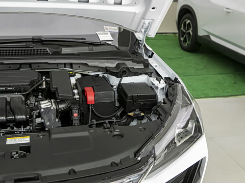 2025�� 1.5L ׿Խ��