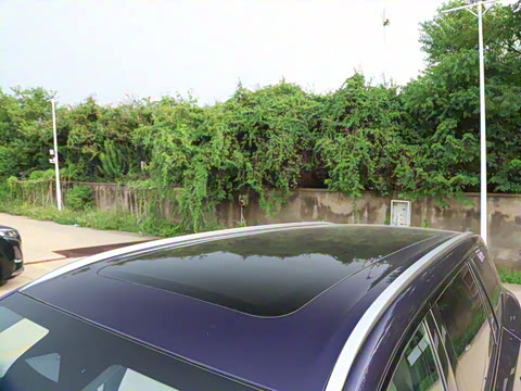 2026�� �������������