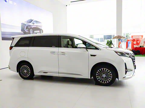 2025�� DM-i ��������