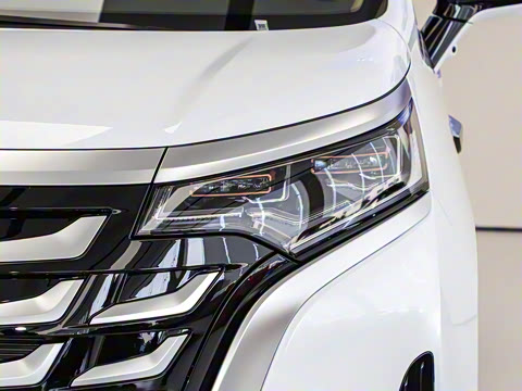 2025�� DM-i ��������