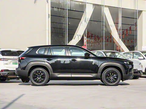 2026�� 2.0L ���а�