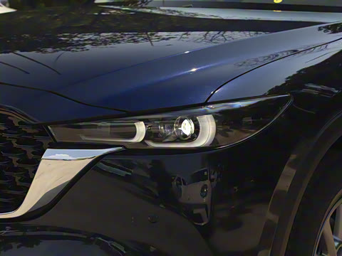 2025�� 2.0L �Զ���������Pro