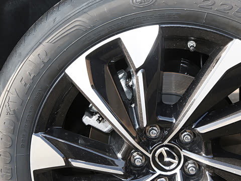 2026�� 2.5L ���а�