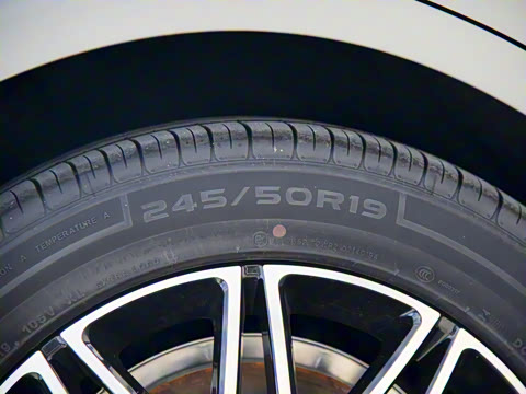 2025�� 260��������������