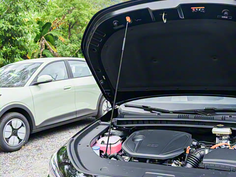 2026�� 125km̽��+��